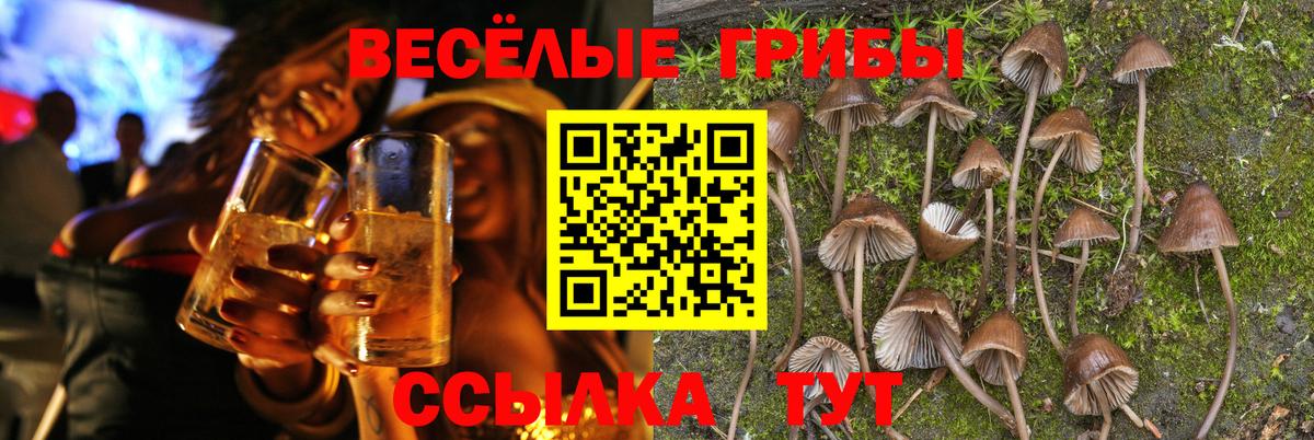 Псилоцибиновые грибы прущие грибы Кинель