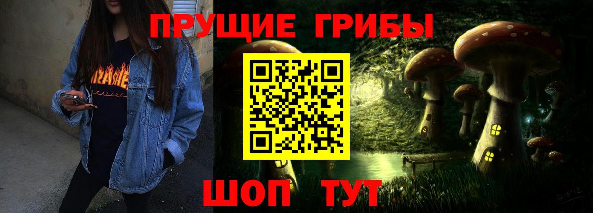 Кинель  Псилоцибиновые грибы Cubensis  Вход с VPN 